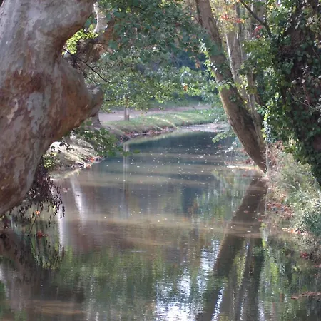 펜션 Bellevue Cite Chez Jean - Vue Directe Cite, Cite A 200m, Clim, Parking Public Gratuit A 200m, Wifi - Direct View Cite, 200m To Cite, Aircon, Free Public Car Park 200m, Wifi