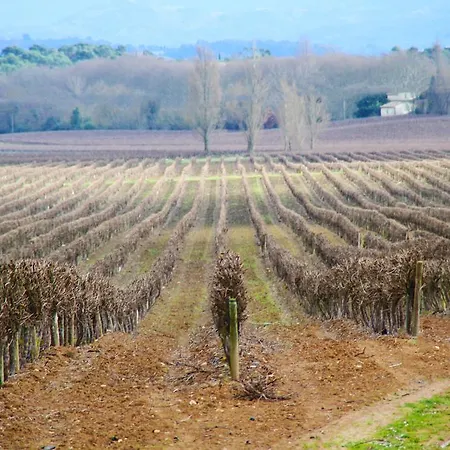 Chez Jean - Vue Directe Cite, Cite A 200M, Clim, Parking Public Gratuit A 200M, Wifi - Direct View Cite, 200M To Cite, Aircon, Free Public Car Park 200M, Wifi * Carcassonne