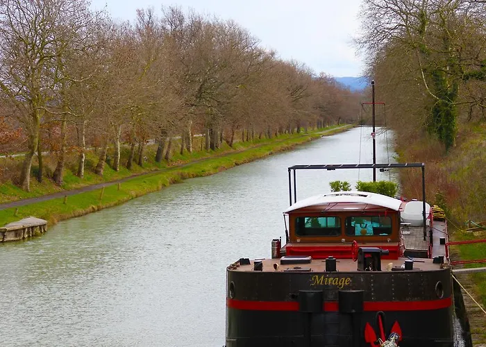 Bellevue Cité Chez Jean - Vue Directe Cité, Cité à 200m, Clim, Parking Public Gratuit à 200m, Wifi - Direct View Cité, 200m To Cité, Aircon, Free Public Car Park 200m, Wifi Carcassonne