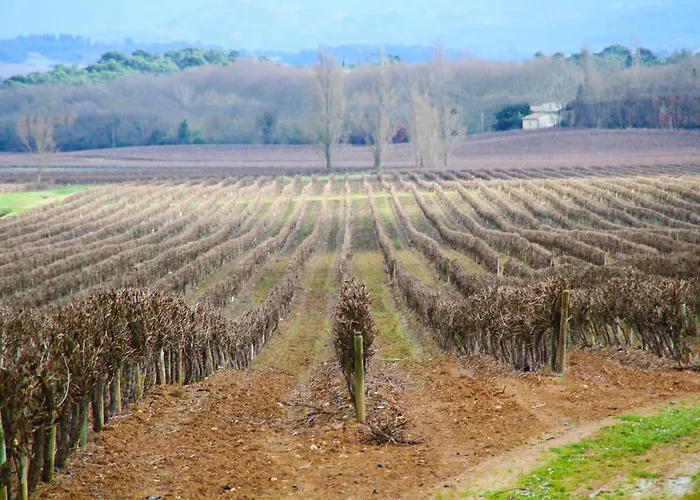 Bellevue Cité Chez Jean - Vue Directe Cité, Cité à 200m, Clim, Parking Public Gratuit à 200m, Wifi - Direct View Cité, 200m To Cité, Aircon, Free Public Car Park 200m, Wifi * Carcassonne